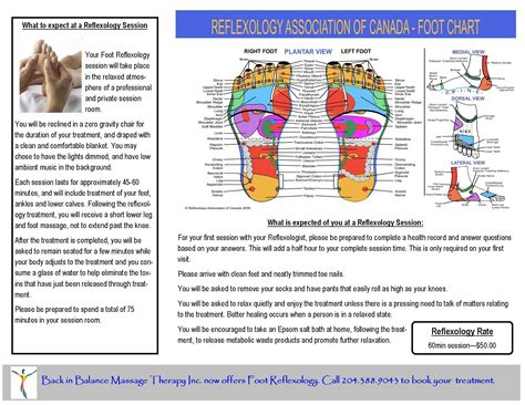 What Is Reflexology More Basic Info Foot Reflexology Reflexology