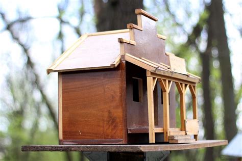 bird house kits  bird house kits   educational tool bird house kit homes bird house