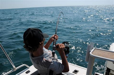 reasons  fishing   sport