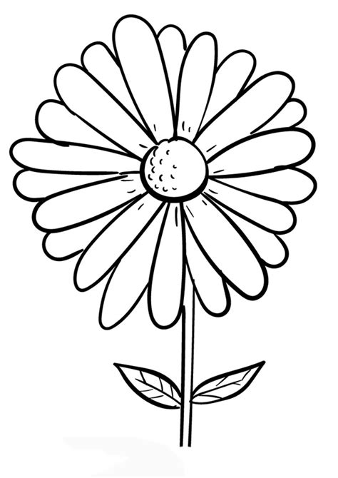 daisy flower printable coloring pages  flower site