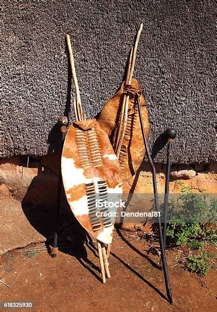 closeup south african zulu spears warrior shields and assegai stock