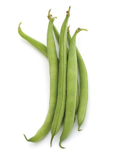 green beans  heritage food crozet gazette