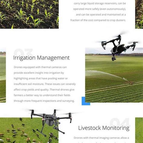 rise  agriculture drones  infographics