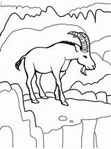 Billy Goat Hungry Coloring Pages sketch template