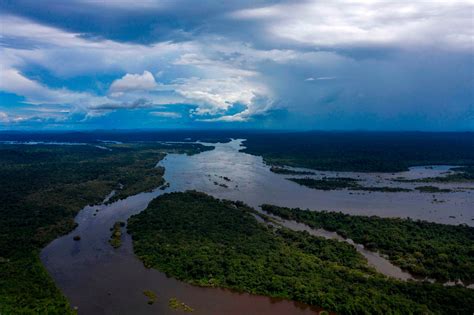 brazils   leader amazon protections slashed  forests