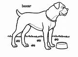 Boxer Pages Dog Coloring Empty Bowl Boxers Color Template Print Printable Search Utilising Button Sheets sketch template
