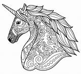 Unicorn Coloring Detailed Book Detail sketch template