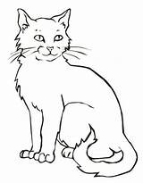 Cat Coloring Pages Realistic Printable Kitten Kids Drawing Wild Simple Cats Color Scary Colouring Animal Halloween Sheets Board Book Print sketch template