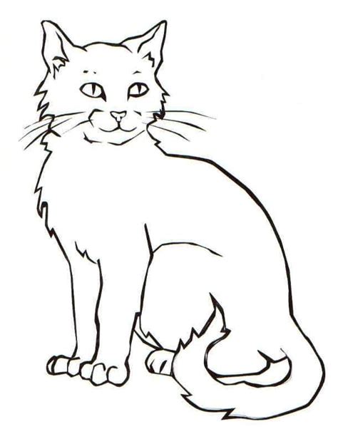 cat coloring pages  january   animal coloring pictures