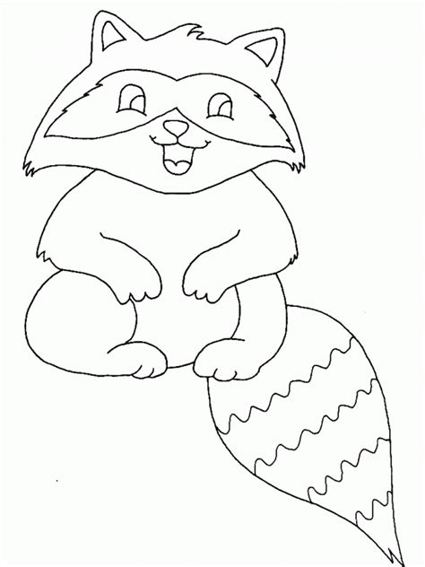 printable raccoon coloring pages  kids