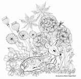 Coloring Pages Deer Adult Flowers Books Book Flower Resting Colouring Printable Cat Sheets sketch template