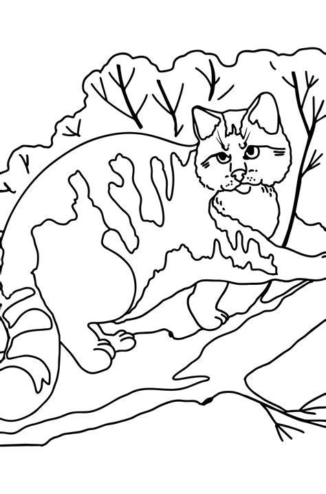 coloring pages  wild cats