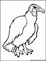 Vulture Coloring Cartoon Pages Clipart Kids Library Template Buzzard Clip Cliparts Fun sketch template