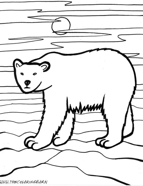 coloring page  arctic animals quality coloring page coloring home