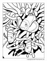 Coloring Pages Fish Underwater Clownfish Printable Print Tropical Adults Adult Cliparts Colouring Animal Sheets Koi Clipart Popular Library Color Choose sketch template