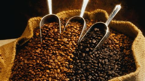cafe  cultivo  gran relevancia  nivel mundial
