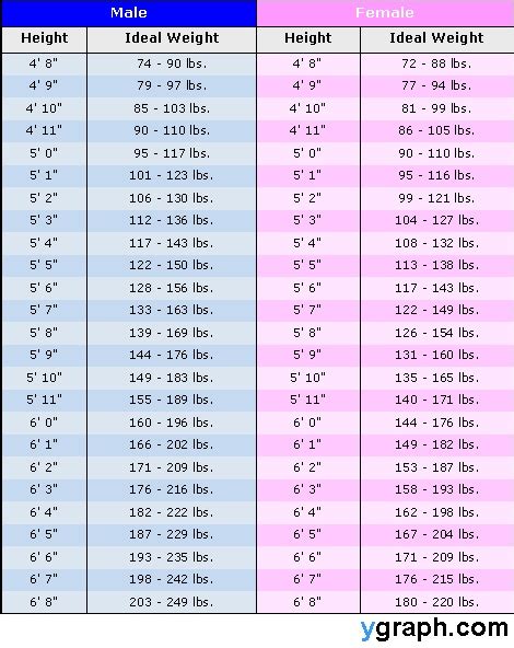 weight height chart weightheightchart ygraphcom