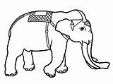 Asian Elephants sketch template