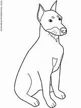 Doberman Coloring Pages Dog Pinscher Mean Drawing Inferior Owner Print Getdrawings Colouring Getcolorings Kids J3 Presents sketch template