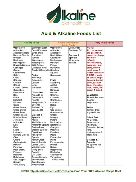 alkaline foods list   instapdf