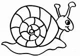Snail Coloring Pages Printable Snails Kids Animal Clipart Printables Cute Clip Find sketch template