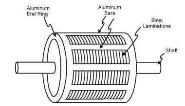 squirrel cage induction motor working principle  squirrel cage induction motor