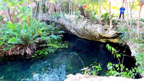 cenotes  playa del carmen  visit walkaboot travel