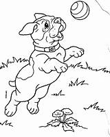 Coloring Pages Puppy Printable Puppies Lab sketch template