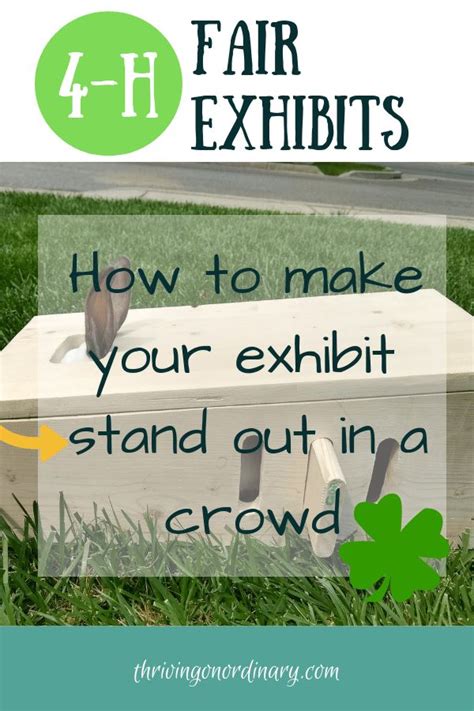 4 H Fair Exhibits Thriving On Ordinary 4 H Club 4 H How To Start