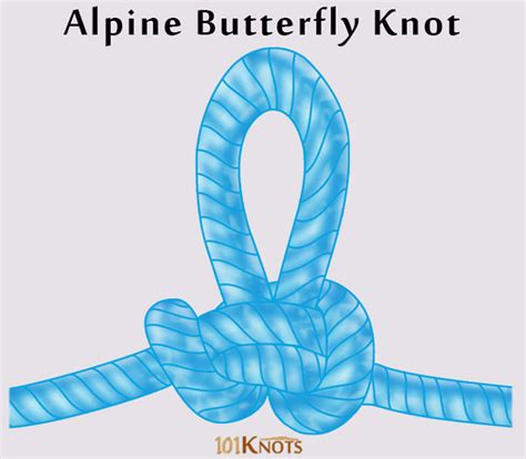 tie  butterfly knot