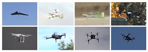 sensors  full text drone  bird detection deep learning algorithms  results