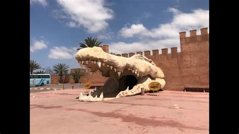 viaggio ad agadir marocco maggio il croco park 1 assolutamente da