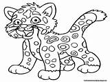 Coloring Jaguar Pages Printable Kids Animals Animal Baby Leopard sketch template