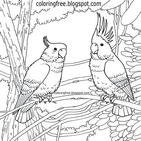australian animals coloring pages printable