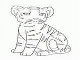 Coloring Pages Baby Tigers Popular Library Clipart Coloringhome sketch template