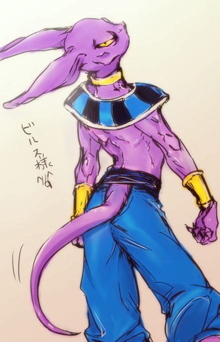17 Best Images About Lord Beerus And Whis On Pinterest
