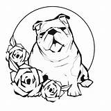 Bulldog Bestcoloringpagesforkids Bulldogs Colouring Roses sketch template