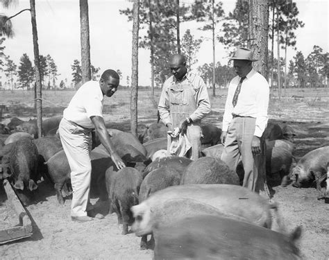 African American Agricultural Extension Agents In Florida
