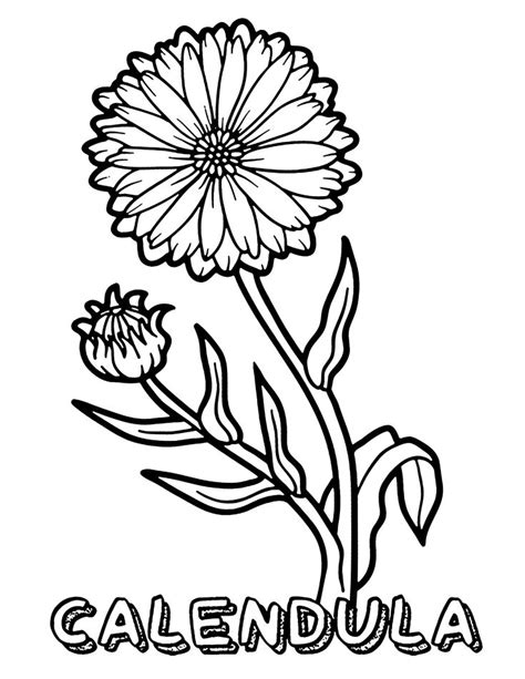flower coloring pages  kids coloring pages easy coloring