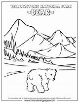 Coloring Yellowstone Park National Denali Pages Kids Printable Book Bear Baby Activity Parks Cute Colouring Activities Designlooter Color Drawings Choose sketch template