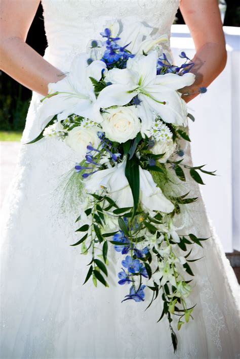 my wedding bouquet cascading bridal bouquet with lilies blue