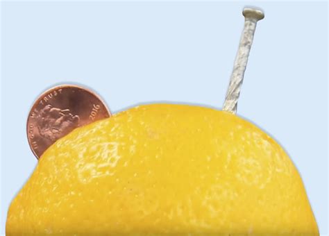 science   home lemon batteries experiment