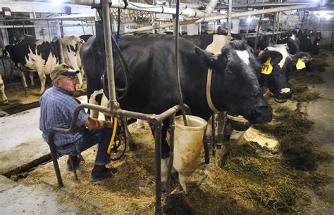 missourians celebrate national dairy month dairy farmers  facing  challenges