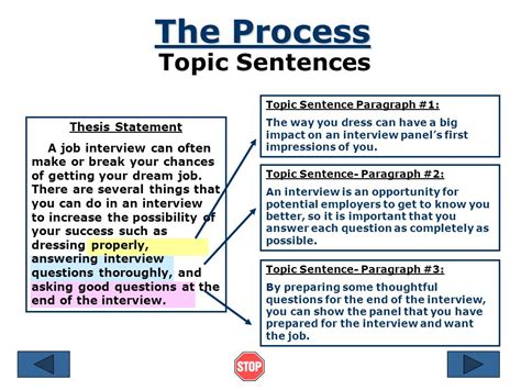 write  process essay writing tips  examples