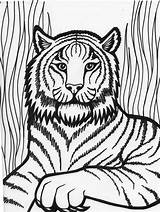Tiger Face Print Outline Drawing Coloring Pages Kids Draw Preschool sketch template