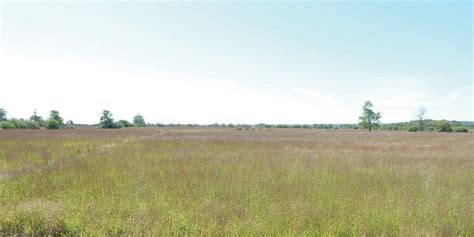 tallgrass prairies  rare ecosystem ontario nature
