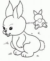 Coloring Pages Bunny Baby Toddlers Print sketch template