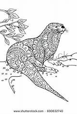 Otter Coloring Pages Zentangle Otters Adult Choose Board Doodle Animal sketch template