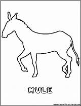Mule Coloring Pages Outline Color Printable Fun Getcolorings sketch template