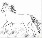 Horse Coloring Pages Mustang Printable Horses Wild Head Appaloosa Pony Pretty Quarter Realistic Color Herd Print Getcolorings Cute Getdrawings Paint sketch template